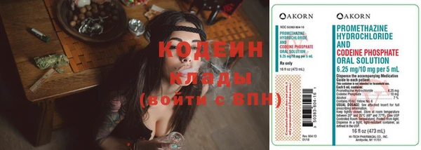 сатива Балахна