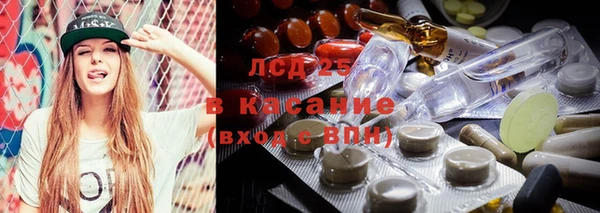 сатива Балахна