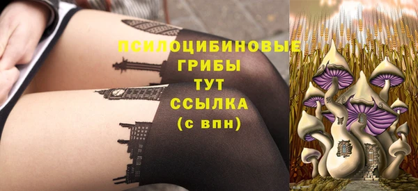 сатива Балахна