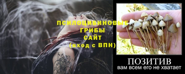 дживик Беломорск
